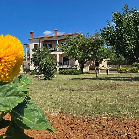 With Parking Space Buici, - 24819 Apartman